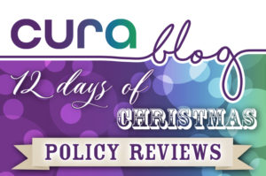 12 Days of Christmas &#8211; Day 5, Policy reviews